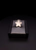 Van Cleef & Arpels Lucky Star Grey Mother Of Pearl 18K White Gold Necklace