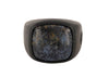 David Yurman Men's Exotic Stone Ring with Pietersite in Black Titanium